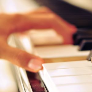 拍击挨打的视频网站
