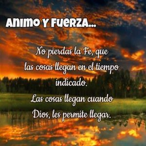 拍击挨打的视频网站
