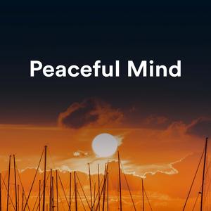 拍击挨打的视频网站
